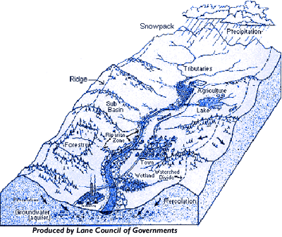 Infographic of how watersheds work