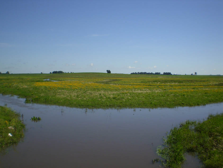 The Grove on Kickapoo Creek