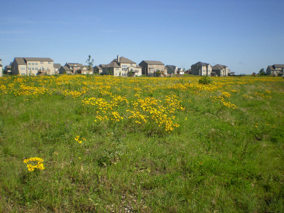 The Grove on Kickapoo Creek