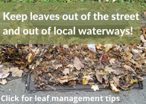 keep leaves out of the street and out of local waterways!