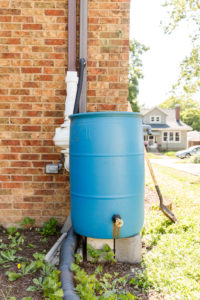 Blue rain barrel made out of a repurposed 55-gallon drum 