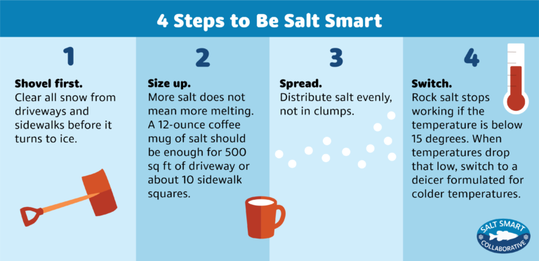 Be salt smart infographic.